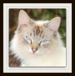 Meet your Posher, Cathy